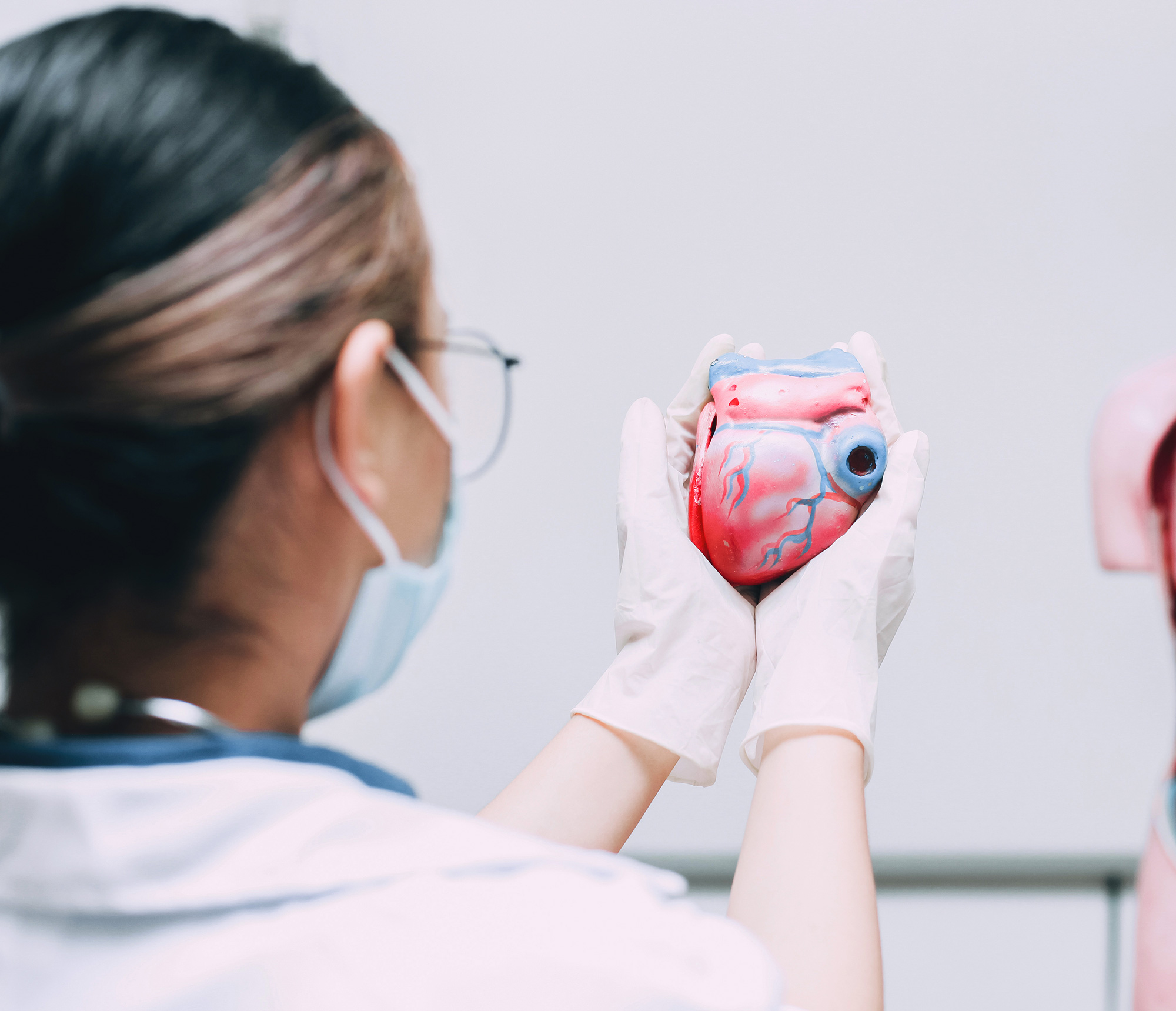 woman-doctor-holding-heart-dummy-2021-08-31-17-20-35-utc